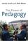 Go to record The Power of Pedagogy